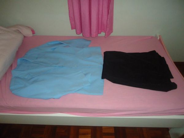 Cosplay Ouran High School Host Club anfitriões